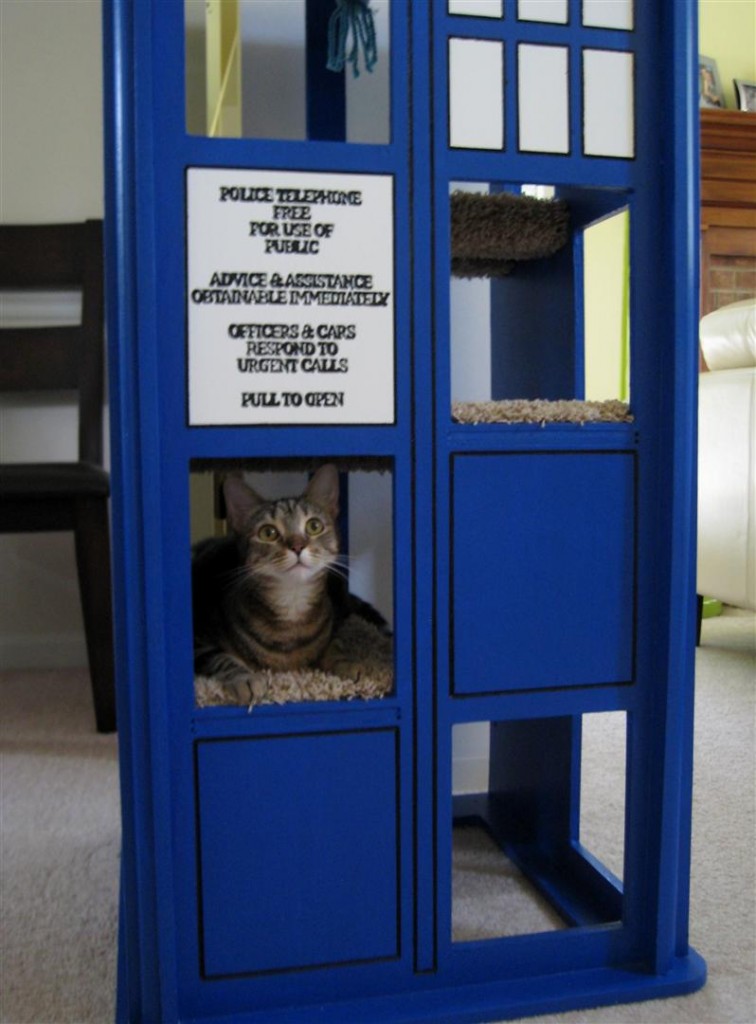 cat-tardis4