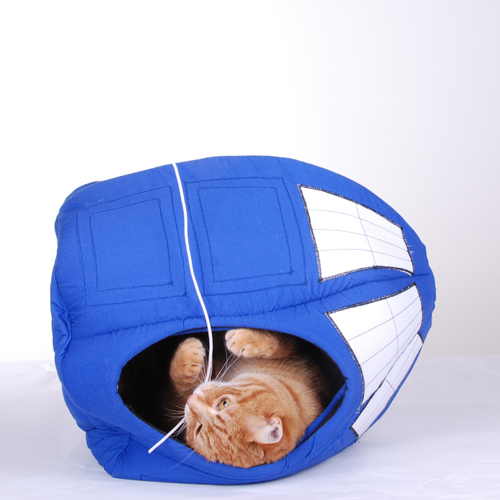 cat-tardis6