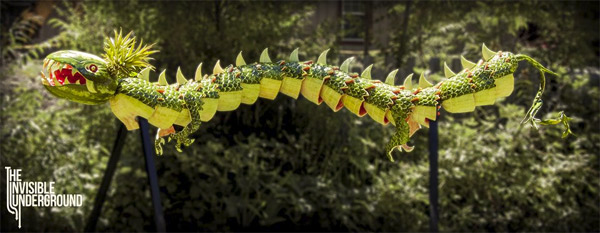 watermelon-dragon-4
