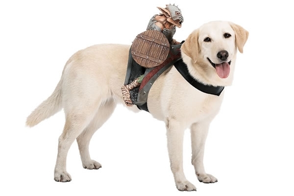 Goblin-Dog-Riders