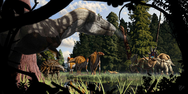 Julius.Cstonyi_Cretaceousi