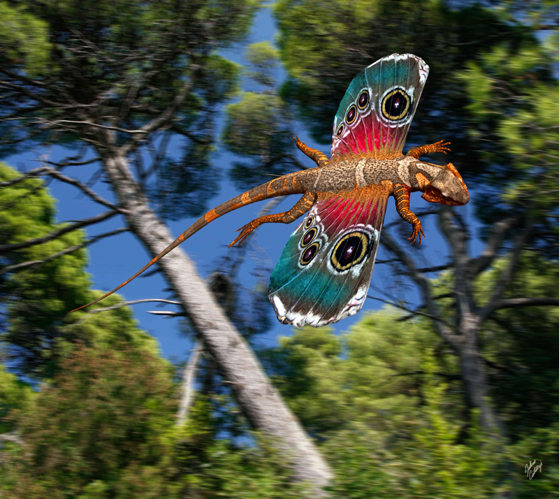 Julius_Cstonyi_Icarosaurus