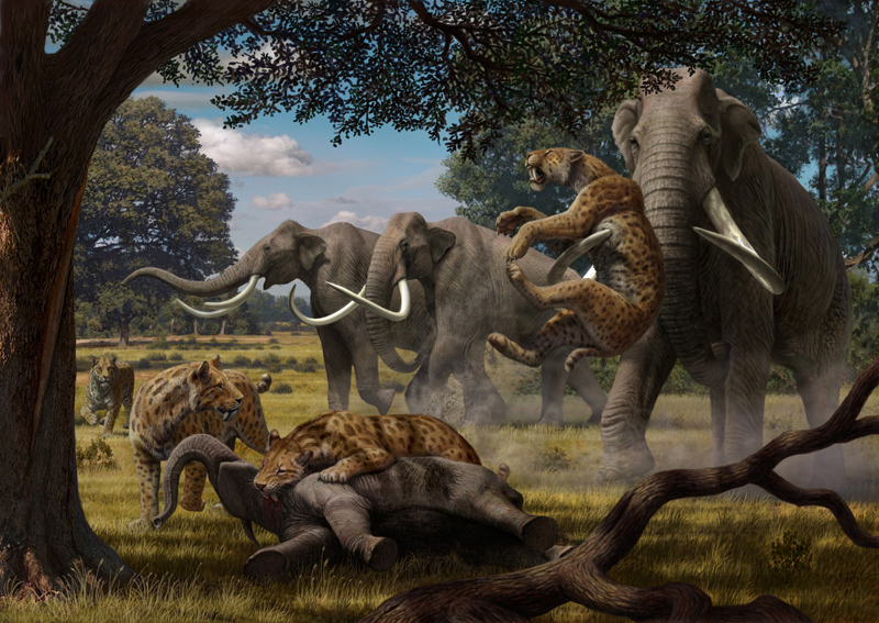Mauricio Anton.-Smilodon and columbian mammoth