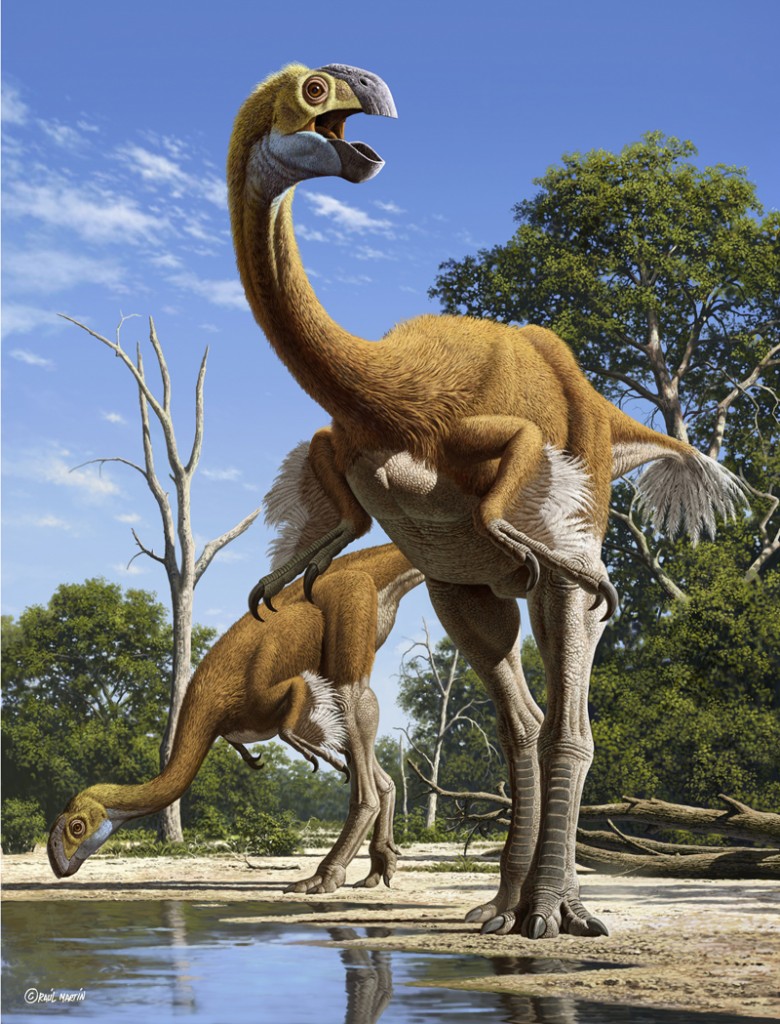 Raul.Martin_Gigantoraptor