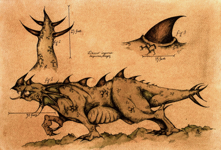 drago-ingens