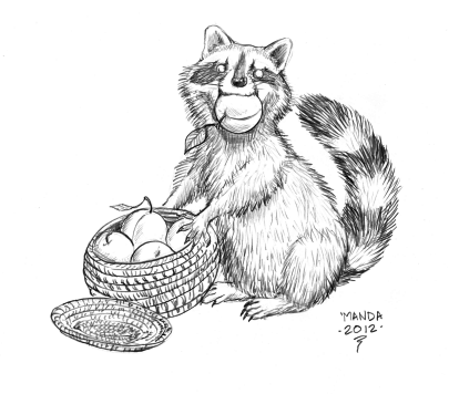 Raccoon